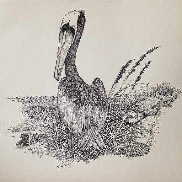 Mario Hernandez Print - Bird - Picture 1 of 4